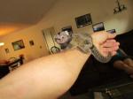 MALE AND FEMALE MARMOSET MONKEYS FOR SALE